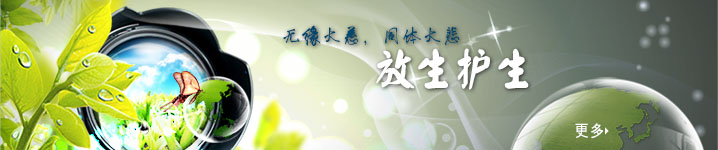 海涛法师_生命电视台_点灯_施食_药供_慈悲-生命在线